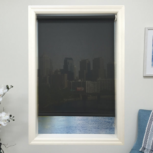 Harbor Shades Sheer Roller Shade & Reviews Wayfair